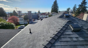 resilience roofing coquitlam