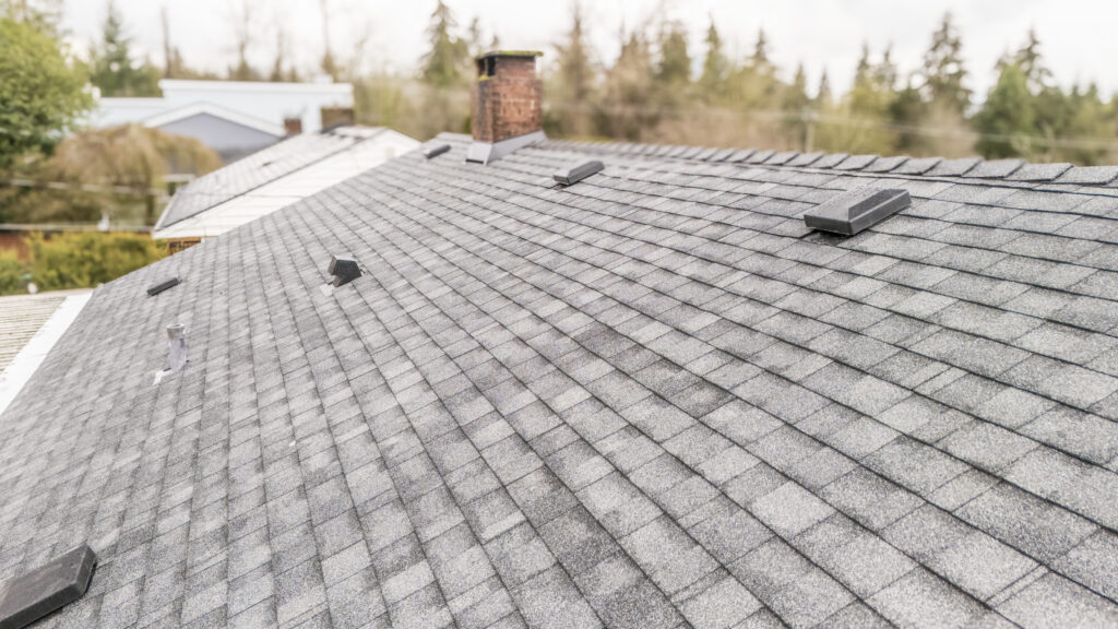 RESILIENCE ROOFING COQUITLAM ROOFING COMPANY ROOF REPLACEMENT roof repair tips BURNABY BC